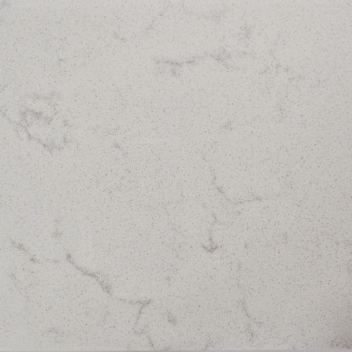 Carrara 230703-1