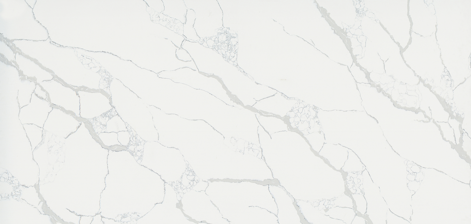 Calacatta Statuary