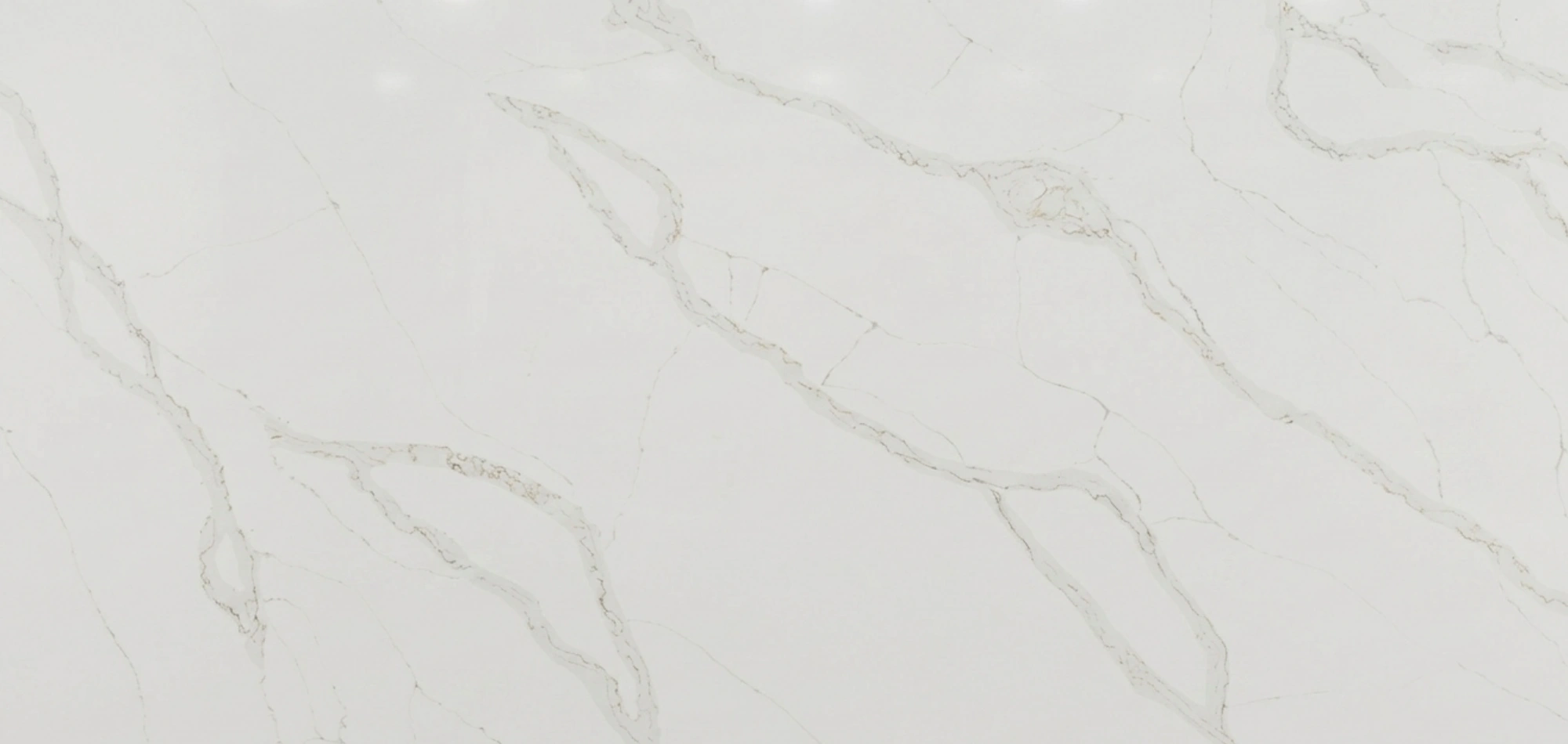 Calacatta Gold