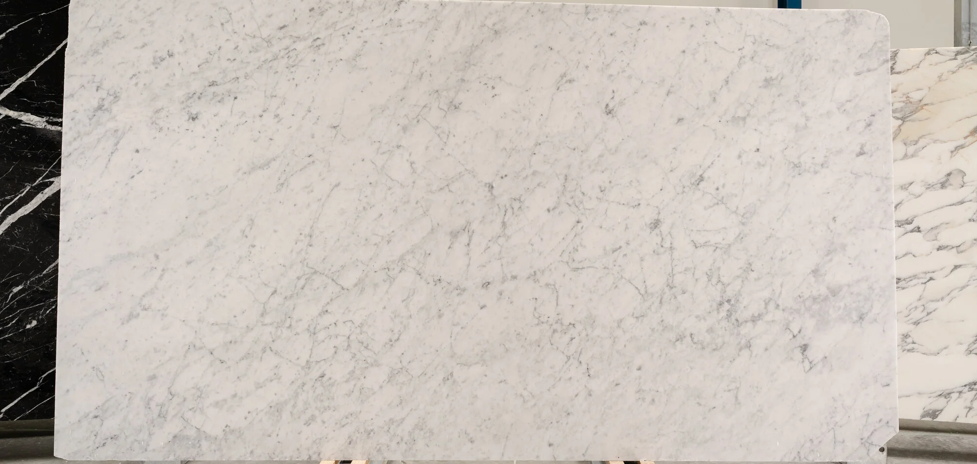 Bianco Venatino