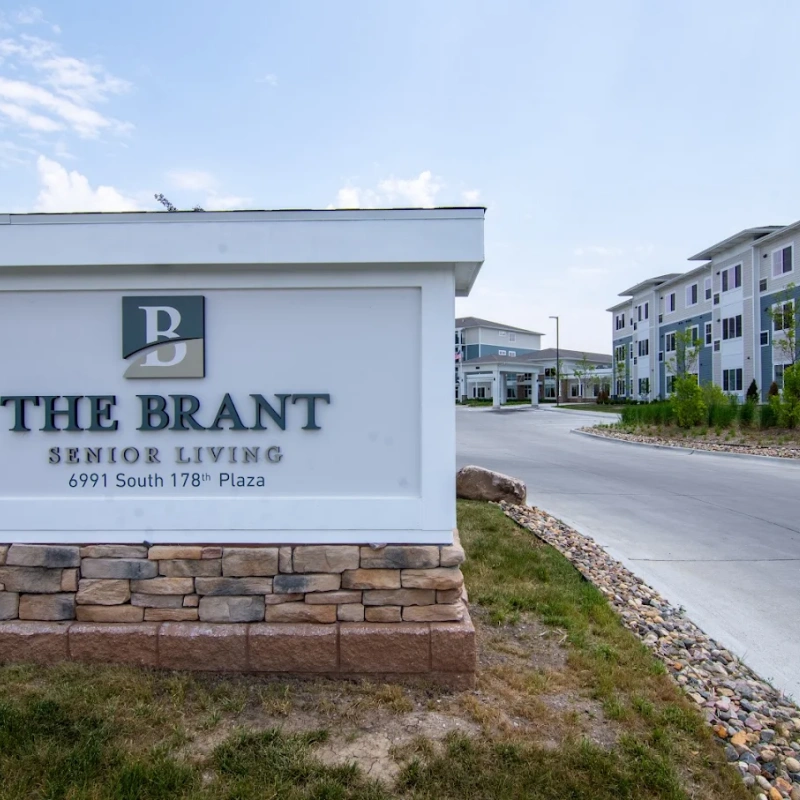 The Brant