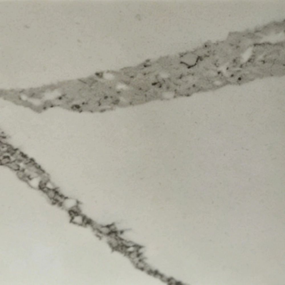 Brittanica Quartz 230614-2