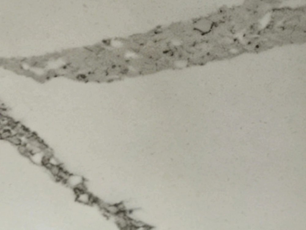 Brittanica Quartz 230614-2